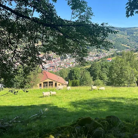 Σαλέ Aux Sources - 14 Personnes - Sauna & Jacuzzi La Bresse