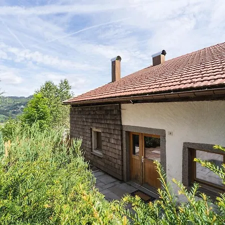 Chalet Aux Sources - 14 Personnes - Sauna & Jacuzzi La Bresse
