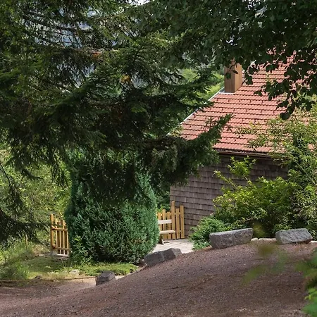 Aux Sources - 14 Personnes - Sauna & Jacuzzi Chalet *