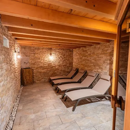 Aux Sources - 14 Personnes - Sauna & Jacuzzi * La Bresse