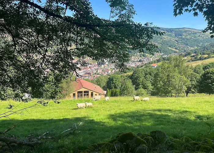 Chalet Aux Sources - 14 Personnes - Sauna&jacuzzi La Bresse