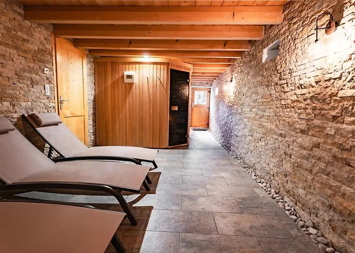 Aux Sources - 14 Personnes - Sauna&jacuzzi La Bresse