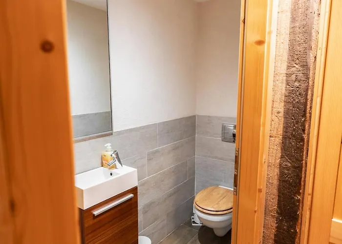 Aux Sources - 14 Personnes - Sauna&jacuzzi *