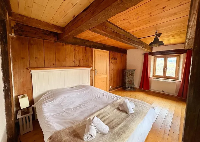 Aux Sources - 14 Personnes - Sauna&jacuzzi