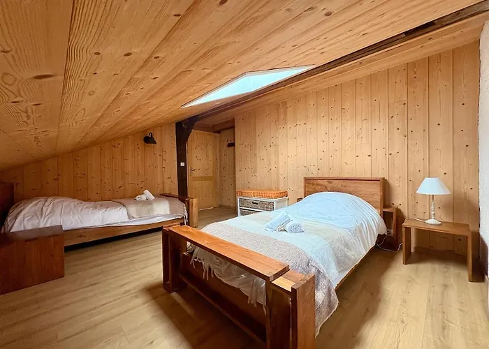 Aux Sources - 14 Personnes - Sauna&jacuzzi La Bresse