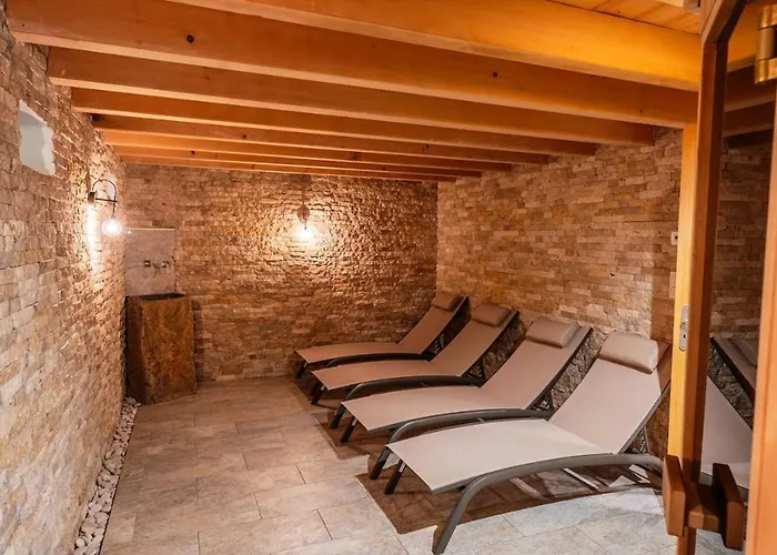 Aux Sources - 14 Personnes - Sauna&jacuzzi * La Bresse